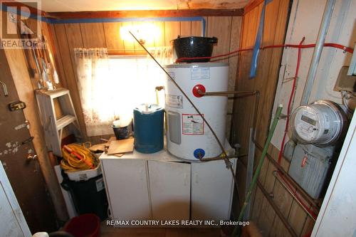 194 Mcguire Beach Road, Kawartha Lakes, ON - Indoor Photo Showing Basement