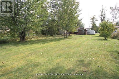 194 Mcguire Beach Road, Kawartha Lakes, ON - Outdoor