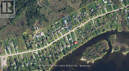 194 Mcguire Beach Road, Kawartha Lakes, ON - Other