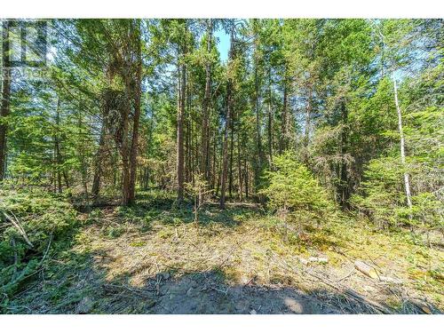 Lot A Anzeeon Road, 108 Mile Ranch, BC 