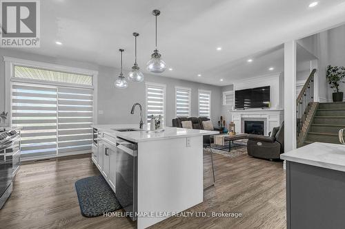 355 Christine Avenue W, Lakeshore, ON - Indoor Photo Showing Kitchen With Fireplace With Upgraded Kitchen