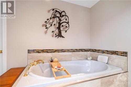 1430 Notre-Dame Street, Embrun, ON - Indoor Photo Showing Bathroom