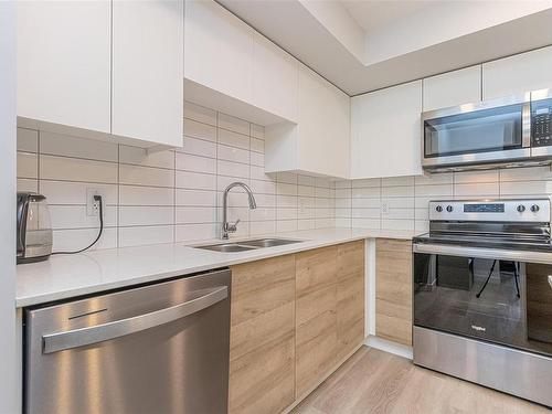 106-4820 Cedar Ridge Pl, Nanaimo, BC - Indoor Photo Showing Kitchen With Stainless Steel Kitchen With Double Sink