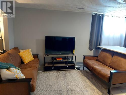 Bsmt# 1 - 160 Delmar Drive, Hamilton, ON - Indoor Photo Showing Living Room