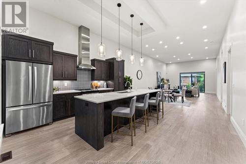 506 Lily Mac Boulevard, Windsor, ON - Indoor Photo Showing Kitchen With Upgraded Kitchen