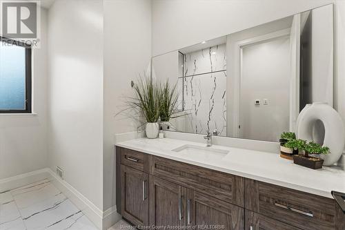 506 Lily Mac Boulevard, Windsor, ON - Indoor Photo Showing Bathroom