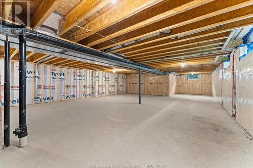 506 Lily Mac Boulevard, Windsor, ON - Indoor Photo Showing Basement