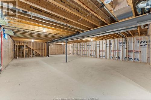 506 Lily Mac Boulevard, Windsor, ON - Indoor Photo Showing Basement