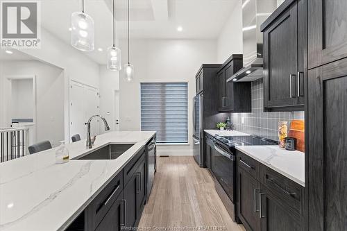 506 Lily Mac Boulevard, Windsor, ON - Indoor Photo Showing Kitchen With Upgraded Kitchen