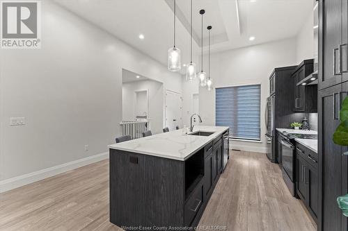 506 Lily Mac Boulevard, Windsor, ON - Indoor Photo Showing Kitchen With Upgraded Kitchen