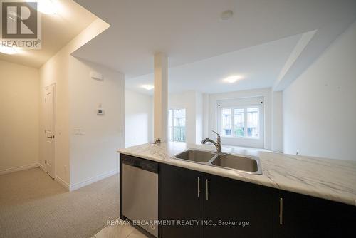 169 - 77 Diana Avenue, Brantford, ON - Indoor Photo Showing Kitchen With Double Sink