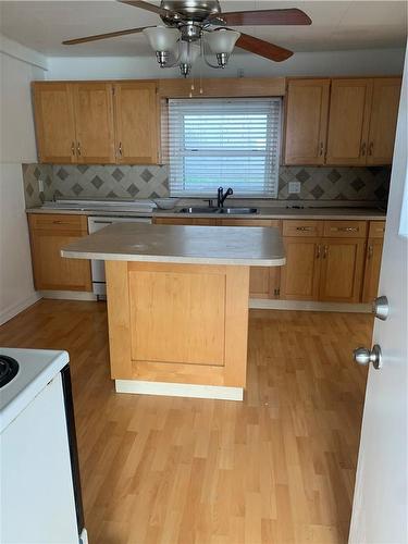 654 West 5Th Street, Hamilton, ON - Indoor Photo Showing Kitchen With Double Sink