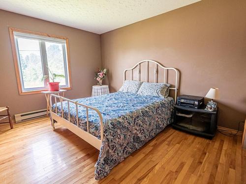 Chambre Ã  coucher principale - 49 Rue Principale E., Notre-Dame-Des-Bois, QC - Indoor Photo Showing Bedroom