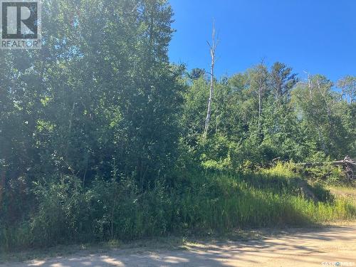 4.49 Acre Lot At Tobin Lake - Lakeview, Tobin Lake, SK 