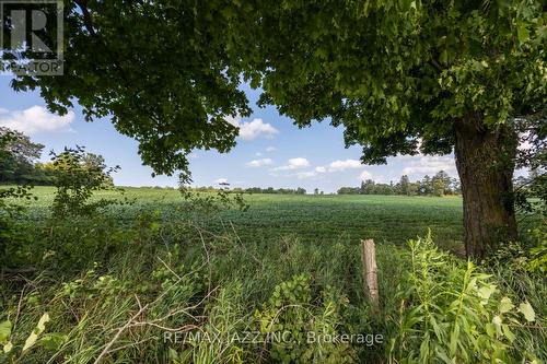 10239 Cochrane Road, Clarington, ON - Outdoor With View