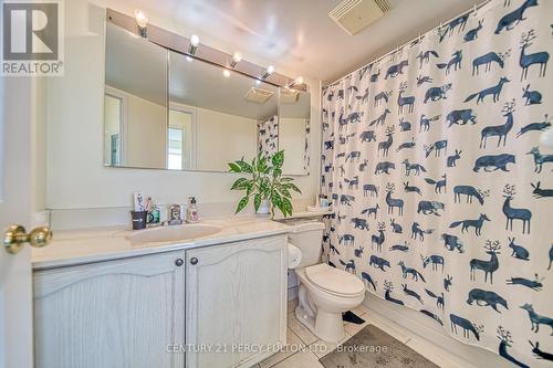 2006 - 1 Pemberton Avenue, Toronto (Newtonbrook East), ON - Indoor Photo Showing Bathroom