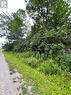 1675 Sulphide Road, Tweed, ON 