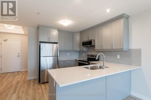 415 - 100 The Promenade, Central Elgin (Port Stanley), ON - Indoor Photo Showing Kitchen With Double Sink