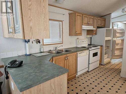 17 3001 N Mackenzie Avenue, Williams Lake, BC - Indoor Photo Showing Kitchen With Double Sink