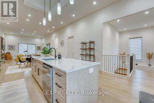 566 Lily Mac Boulevard, Windsor, ON - Indoor Photo Showing Kitchen With Upgraded Kitchen