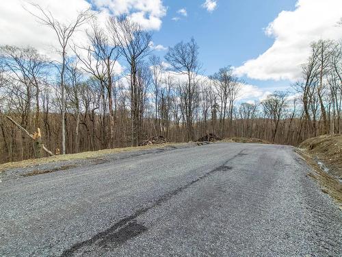 Rue - 20E Rue, Saint-Adolphe-D'Howard, QC - Outdoor With View