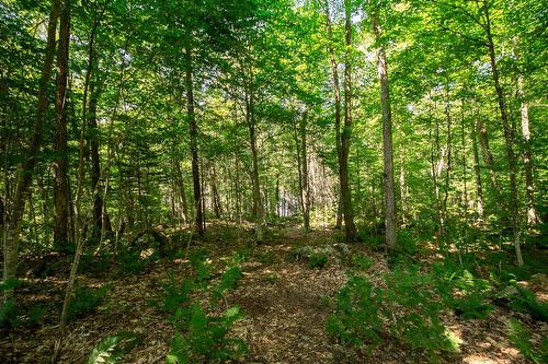 Terre/Terrain - 20E Rue, Saint-Adolphe-D'Howard, QC - Outdoor