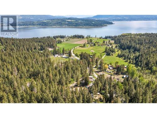 645 Badger Road, Tappen, BC 