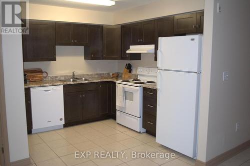 102 - 271 Lester Street, Waterloo, ON - Indoor Photo Showing Kitchen With Double Sink