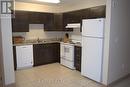 102 - 271 Lester Street, Waterloo, ON  - Indoor Photo Showing Kitchen With Double Sink 