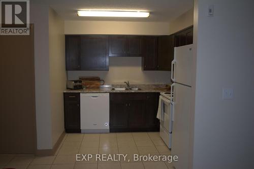 102 - 271 Lester Street, Waterloo, ON - Indoor Photo Showing Kitchen With Double Sink