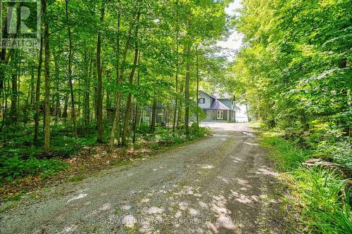 317 Riverside Drive, Kawartha Lakes, ON - Outdoor