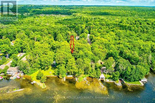 317 Riverside Drive, Kawartha Lakes, ON - Outdoor With Body Of Water