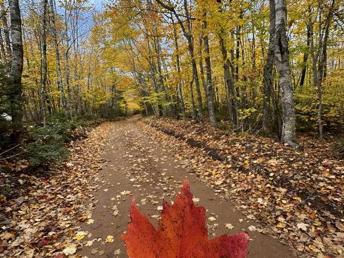 A19 Riverbend Lane, North Granville, PE 