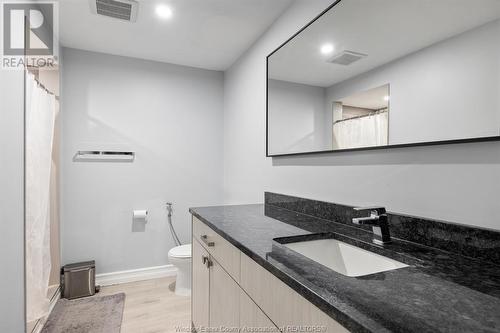 5911 Malden Road, Maidstone, ON - Indoor Photo Showing Bathroom