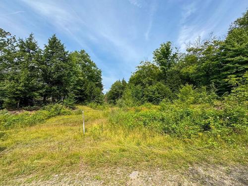 Terre/Terrain - Rue De San-Antonio, Grenville-Sur-La-Rouge, QC 