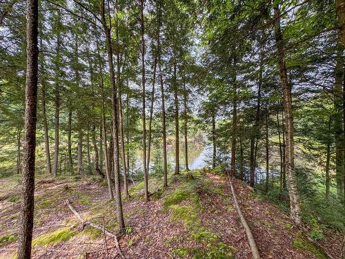 Terre/Terrain - Rue De San-Antonio, Grenville-Sur-La-Rouge, QC 