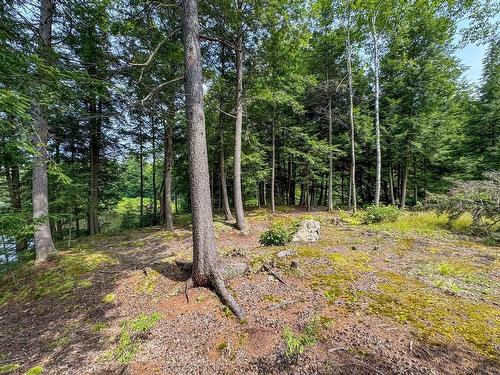 Terre/Terrain - Rue De San-Antonio, Grenville-Sur-La-Rouge, QC 