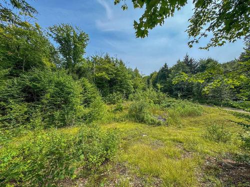 Terre/Terrain - Rue De San-Antonio, Grenville-Sur-La-Rouge, QC 