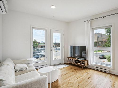 Salon - 222-5595 Rue De Lanaudière, Montréal (Rosemont/La Petite-Patrie), QC - Indoor Photo Showing Living Room