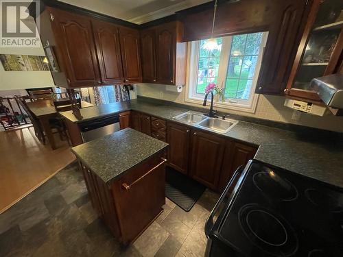 171A Commonwealth Drive, Botwood, NL - Indoor Photo Showing Kitchen With Double Sink