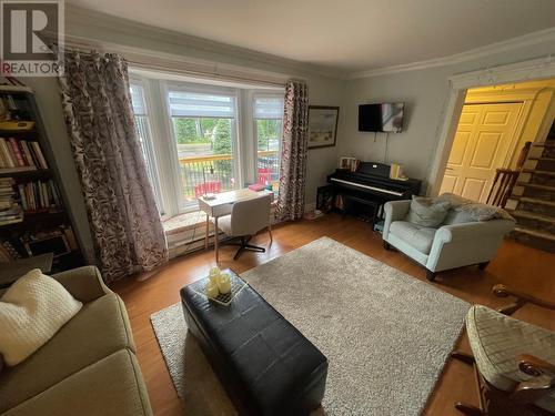 171A Commonwealth Drive, Botwood, NL - Indoor Photo Showing Living Room