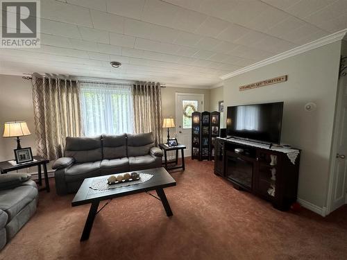 4 Job Street, Gambo, NL - Indoor Photo Showing Living Room