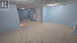 Rec room with new carpet Aug 2024 - 