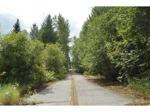 Lot 3 Highway 3, Grand Forks, BC 