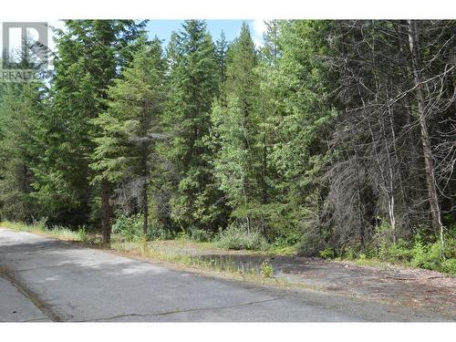 Lot 3 3 Highway, Grand Forks, BC 