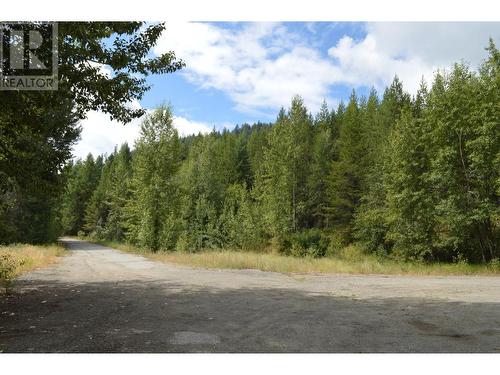 Lot 3 3 Highway, Grand Forks, BC 