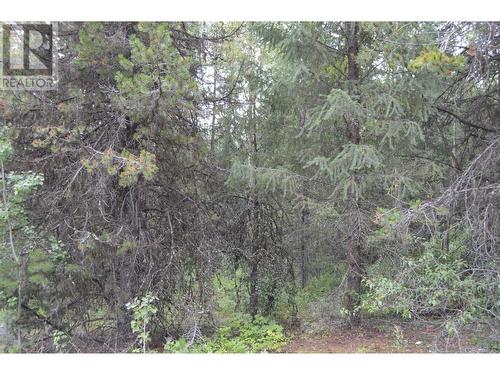 Lot 3 3 Highway, Grand Forks, BC 