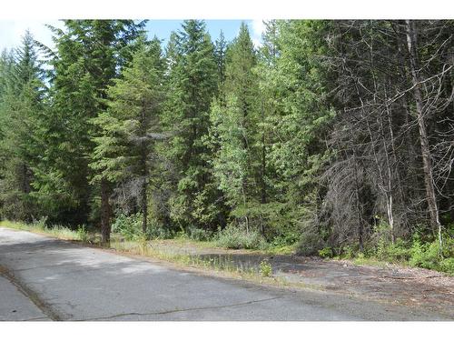 Lot 3 Highway 3, Grand Forks, BC 