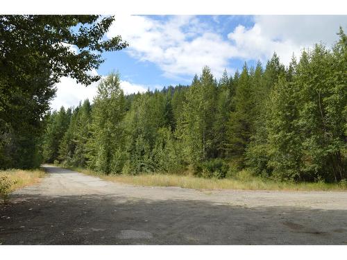 Lot 3 Highway 3, Grand Forks, BC 