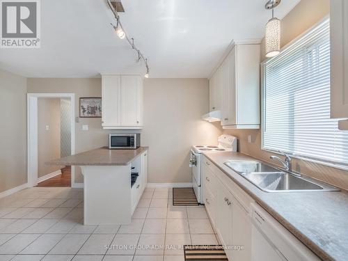 598 Brigadoon Drive, Hamilton (Gourley), ON - Indoor Photo Showing Kitchen With Double Sink